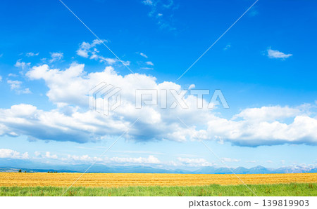 A view of the blue sky and white clouds from a hilltop in Biei, Hokkaido, during the summer. A view of the blue sky and white clouds from a hilltop in Biei, Hokkaido, during the summer. 139819903