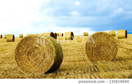A scene of straw bales seen in a field on a hill in Biei, Hokkaido, during the summer. A scene of straw bales seen in a field on a hill in Biei, Hokkaido, during the summer. 139819949