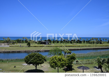 初夏的青島 139820001