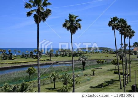 初夏的青島 初夏的青島 139820002