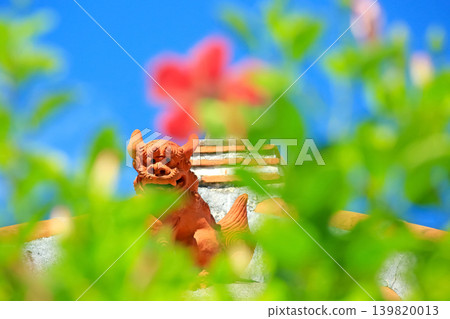 Mensore Okinawa Blue sky, red hibiscus and shisa Mensore Okinawa Blue sky, red hibiscus and shisa 139820013