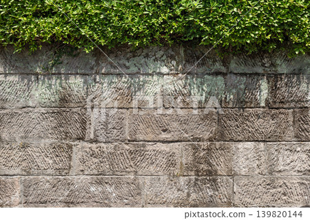 A beautiful Japanese-style texture with a striking contrast between stone walls and greenery. A beautiful Japanese-style texture with a striking contrast between stone walls and greenery. 139820144