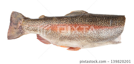 Fresh rainbow trout fish isolated on white background, side view seafood ingredient Fresh rainbow trout fish isolated on white background, side view seafood ingredient 139820201
