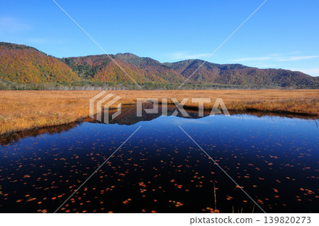 從群馬縣片科村尾瀨濕地看到的景鶴山和池塘。 從群馬縣片科村尾瀨濕地看到的景鶴山和池塘。 139820273