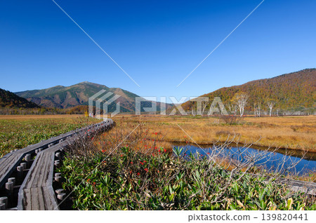 Snow-capped Mt. Shibutsu and autumn foliage viewed from Oze Marsh in Katashina Village, Gunma Prefecture. Snow-capped Mt. Shibutsu and autumn foliage viewed from Oze Marsh in Katashina Village, Gunma Prefecture. 139820441