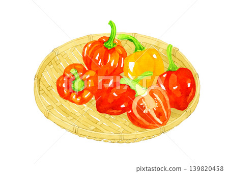 竹籃裡裝著一串哈瓦那辣椒——手繪水彩蔬菜插圖 139820458