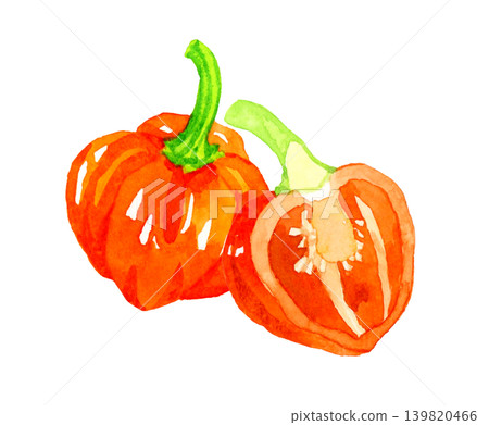 A hand-drawn watercolor illustration of a halved orange (red) habanero pepper. 139820466