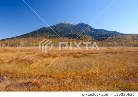 Snow-capped Mt. Hiuchigatake and autumn foliage viewed from Oze Marsh in Katashina Village, Gunma Prefecture. Snow-capped Mt. Hiuchigatake and autumn foliage viewed from Oze Marsh in Katashina Village, Gunma Prefecture. 139820625
