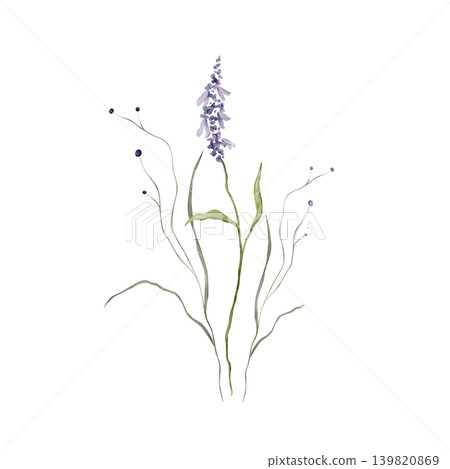 Watercolor design elements of bouquet depicting a violet wildflower botanical lavender hand drawn illustrations. Composition delicate of purple round wildflower herbs on isolated background. Watercolor design elements of bouquet depicting a violet wildflower botanical lavender hand drawn illustrations. Composition delicate of purple round wildflower herbs on isolated background. 139820869