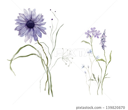 Set of watercolor design elements of bouquet depicting a violet wildflower botanical hand drawn illustrations. Composition delicate of purple daisies and wildflower herbs on isolated background. Set of watercolor design elements of bouquet depicting a violet wildflower botanical hand drawn illustrations. Composition delicate of purple daisies and wildflower herbs on isolated background. 139820870