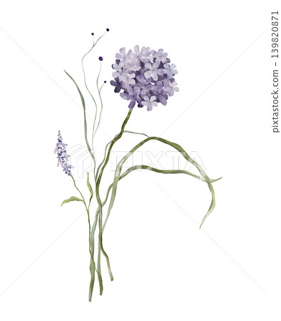 Watercolor design elements of bouquet depicting a violet wildflower botanical lavender hand drawn illustrations. Composition delicate of purple hydrangea and wildflower herbs on isolated background. Watercolor design elements of bouquet depicting a violet wildflower botanical lavender hand drawn illustrations. Composition delicate of purple hydrangea and wildflower herbs on isolated background. 139820871