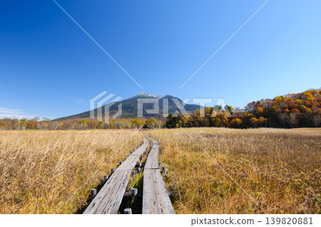 Snow-capped Mt. Hiuchigatake and autumn foliage viewed from Oze Marsh in Katashina Village, Gunma Prefecture. Snow-capped Mt. Hiuchigatake and autumn foliage viewed from Oze Marsh in Katashina Village, Gunma Prefecture. 139820881