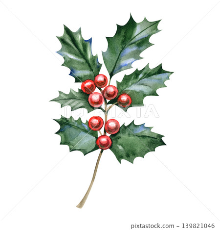Hand drawn watercolor sprig of traditional Christmas holly, beautifully detailed. The festive illustration features sharp green glossy leaves and a central cluster of vibrant red round berries on a Hand drawn watercolor sprig of traditional Christmas holly, beautifully detailed. The festive illustration features sharp green glossy leaves and a central cluster of vibrant red round berries on a 139821046