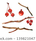 Hand drawn watercolor set of festive design elements. Features isolated winter branches, bare wooden twigs, and clusters of vibrant red winter berries, perfect for creating Christmas holiday patterns 139821047