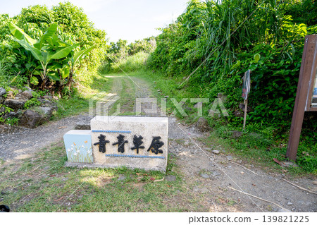 Summer Taiwan remote island scenery: Taitung Lanyu famous scenic spot Qingqing Grassland walkway entrance Summer Taiwan remote island scenery: Taitung Lanyu famous scenic spot Qingqing Grassland walkway entrance 139821225