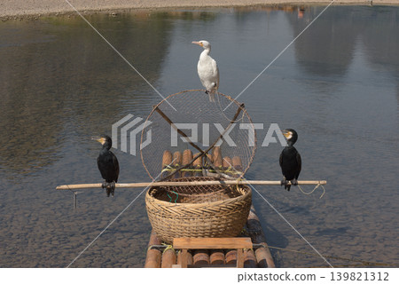 A nostalgic scene of cormorants and fishing baskets perched on traditional bamboo rafts along the Li River in Guilin. A nostalgic scene of cormorants and fishing baskets perched on traditional bamboo rafts along the Li River in Guilin. 139821312