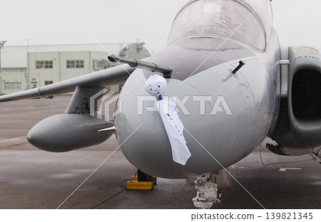 Japan Air Self-Defense Force Air Show in the Rain Japan Air Self-Defense Force Air Show in the Rain 139821345
