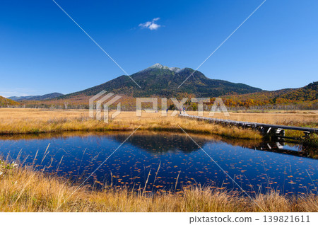 Snow-capped Mt. Hiuchigatake and autumn foliage viewed from Oze Marsh in Katashina Village, Gunma Prefecture. Snow-capped Mt. Hiuchigatake and autumn foliage viewed from Oze Marsh in Katashina Village, Gunma Prefecture. 139821611