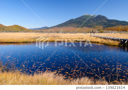 Snow-capped Mt. Hiuchigatake and autumn foliage viewed from Oze Marsh in Katashina Village, Gunma Prefecture. Snow-capped Mt. Hiuchigatake and autumn foliage viewed from Oze Marsh in Katashina Village, Gunma Prefecture. 139821614