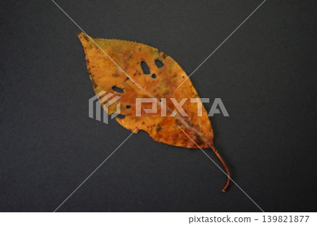 Red dead leaves 139821877