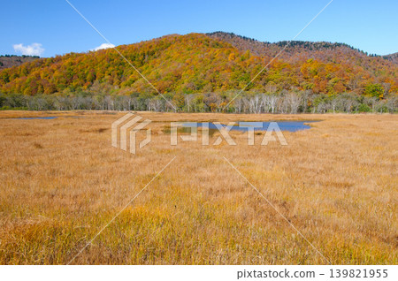 Autumn foliage of Mt. Tsuruyama and grasses as seen from Oze Marsh in Katashina Village, Gunma Prefecture. Autumn foliage of Mt. Tsuruyama and grasses as seen from Oze Marsh in Katashina Village, Gunma Prefecture. 139821955