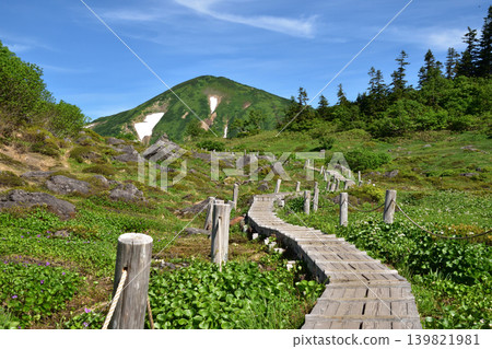 Mount Hiuchi in summer as seen from the garden of Kotengu. Mount Hiuchi in summer as seen from the garden of Kotengu. 139821981