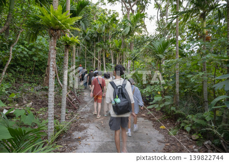 台灣偏遠島嶼生態旅遊:遊客漫步於蘭嶼原始溫泉林、高蓮檳榔樹林和茂密的綠色植被。 台灣偏遠島嶼生態旅遊:遊客漫步於蘭嶼原始溫泉林、高蓮檳榔樹林和茂密的綠色植被。 139822744