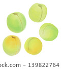Pastel-colored illustration of plum blossoms 139822764