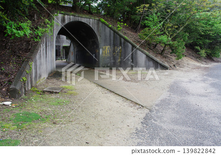 The tunnel leading to the site of the poison gas storage facility on Okunoshima Island. The tunnel leading to the site of the poison gas storage facility on Okunoshima Island. 139822842