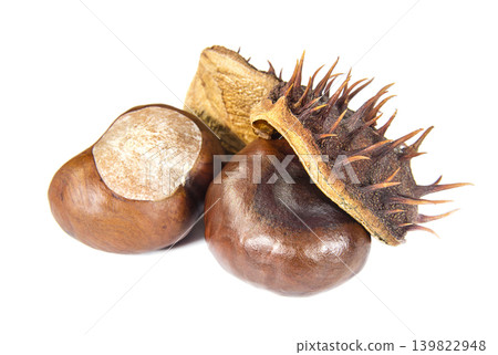 Mature chestnuts in brown peel on a white background Mature chestnuts in brown peel on a white background 139822948