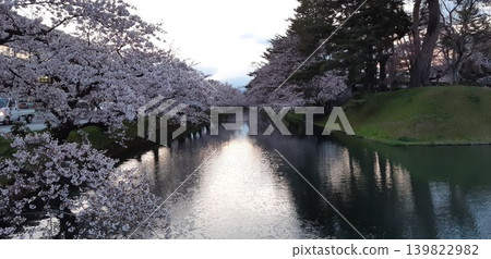 The outer moat of Hirosaki Castle at dusk and cherry blossoms in full bloom - Hirosaki Castle, Aomori Prefecture The outer moat of Hirosaki Castle at dusk and cherry blossoms in full bloom - Hirosaki Castle, Aomori Prefecture 139822982
