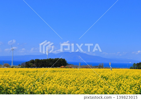 橫濱町初夏時節的廣闊景色,包括油菜花田、陸奧灣和上伏山,山上點綴著風車。 (青森縣) 橫濱町初夏時節的廣闊景色,包括油菜花田、陸奧灣和上伏山,山上點綴著風車。 (青森縣) 139823015