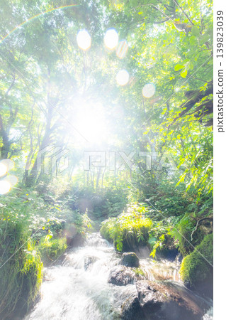 Fresh greenery of the forest, clear streams, and an eco-friendly image (Okudaisen) Fresh greenery of the forest, clear streams, and an eco-friendly image (Okudaisen) 139823039