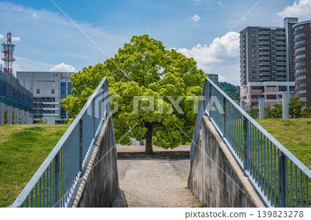 Otsu Port Symbol Green Park, Otsu City, Shiga Prefecture Otsu Port Symbol Green Park, Otsu City, Shiga Prefecture 139823278