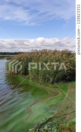 Dirty river coastline with murky green water and visible environmental pollution. Realistic landscape emphasizes ecological awareness and contamination. 139823352