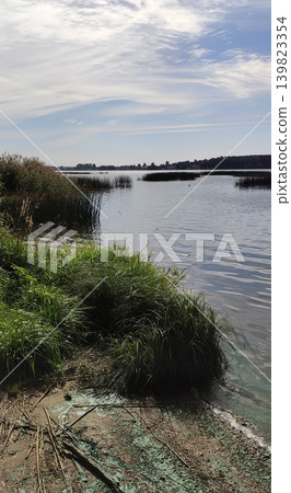 Polluted natural landscape with stagnant green river water and muddy shoreline. Atmospheric composition highlights environmental damage. 139823354