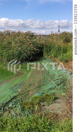 Dirty river coastline with murky green water and visible environmental pollution. Realistic landscape emphasizes ecological awareness and contamination. Dirty river coastline with murky green water and visible environmental pollution. Realistic landscape emphasizes ecological awareness and contamination. 139823356