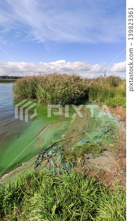Dirty river coast with murky water and scattered waste along the bank. Focus on pollution and ecosystem degradation. 139823361