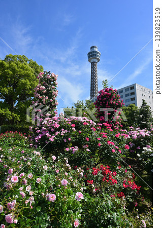 Rose Garden and Marine Tower at Yamashita Park in Yokohama Rose Garden and Marine Tower at Yamashita Park in Yokohama 139823519