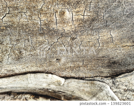 Aged Wooden Texture With Natural Grain Pattern 139823601