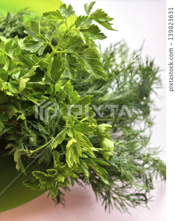 Fresh Green Herbs Bundle With Dill Leaves 139823631