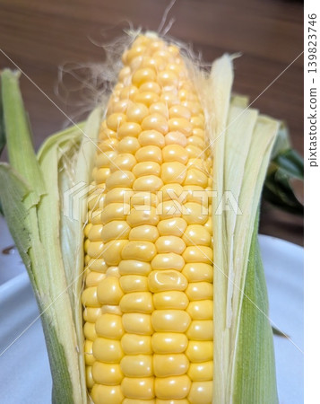 corn  139823746