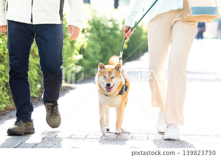 一隻散步的柴犬 139823750