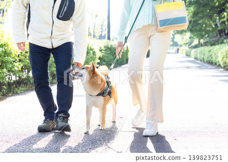 一隻散步的柴犬 139823751