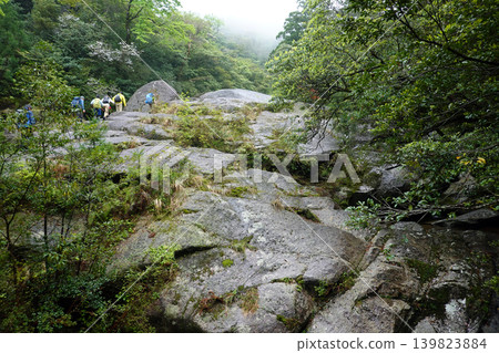 Shiratani Cloud Water Gorge Yakushima Shiratani Cloud Water Gorge Yakushima 139823884