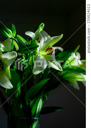 View of blooming white lily flowers on a dark background in rays of light View of blooming white lily flowers on a dark background in rays of light 139824013