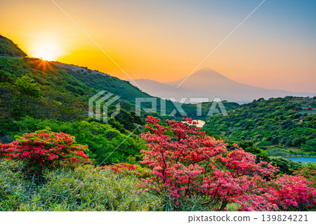(靜岡縣)從箱根玄岳眺望富士山,夕陽西下,周圍環繞著盛開的山地杜鵑花。 (靜岡縣)從箱根玄岳眺望富士山,夕陽西下,周圍環繞著盛開的山地杜鵑花。 139824221