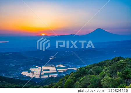 (Shizuoka Prefecture) Mount Fuji beyond the rice paddies of the Tanna Basin as dusk approaches. (Shizuoka Prefecture) Mount Fuji beyond the rice paddies of the Tanna Basin as dusk approaches. 139824436