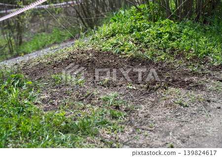 Trace of a motorcycle on the ground, off-road racing track details. Fresh tire tracks of an enduro motorcycle on a dirt forest path. Trace of a motorcycle on the ground, off-road racing track details. Fresh tire tracks of an enduro motorcycle on a dirt forest path. 139824617