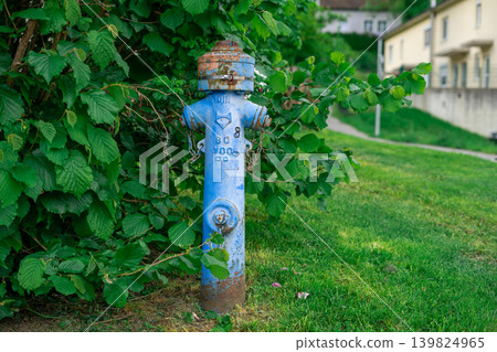 View of an old fire hydrant standing in the bushes near the road 139824965